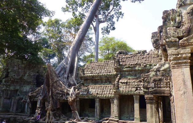 Angkor un matin !