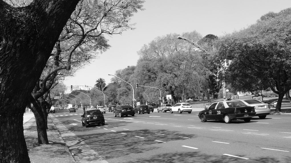 quelques jours dans cette megalopole pour debuter notre periple. Avant tout une ville immense, demesuree...
beaucoup de quartiers, dont un qui a vraiment du caractere, le premier buenos aires... c est La Boca, tout en couleur, grouillant d artistes p