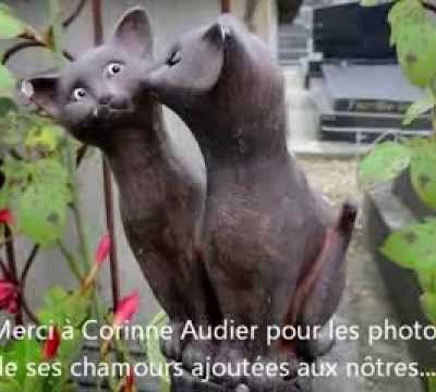 Cat' à Strophes