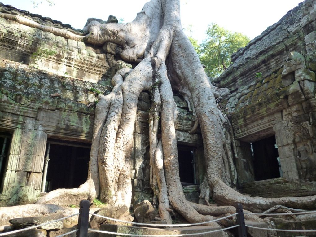 Album - M : Temples d'Angkor