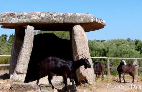 LE DOLMEN ET LA CHÈVRE.