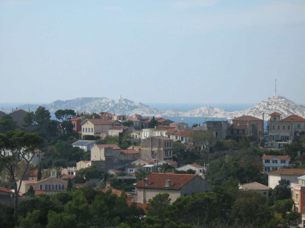 Sauvons la colline du Roucas Blanc (Marseille)