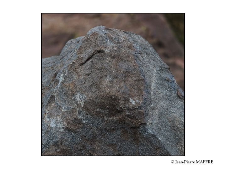 On rencontre fréquemment des rochers aux graphismes insolites qui évoquent des formes connues.