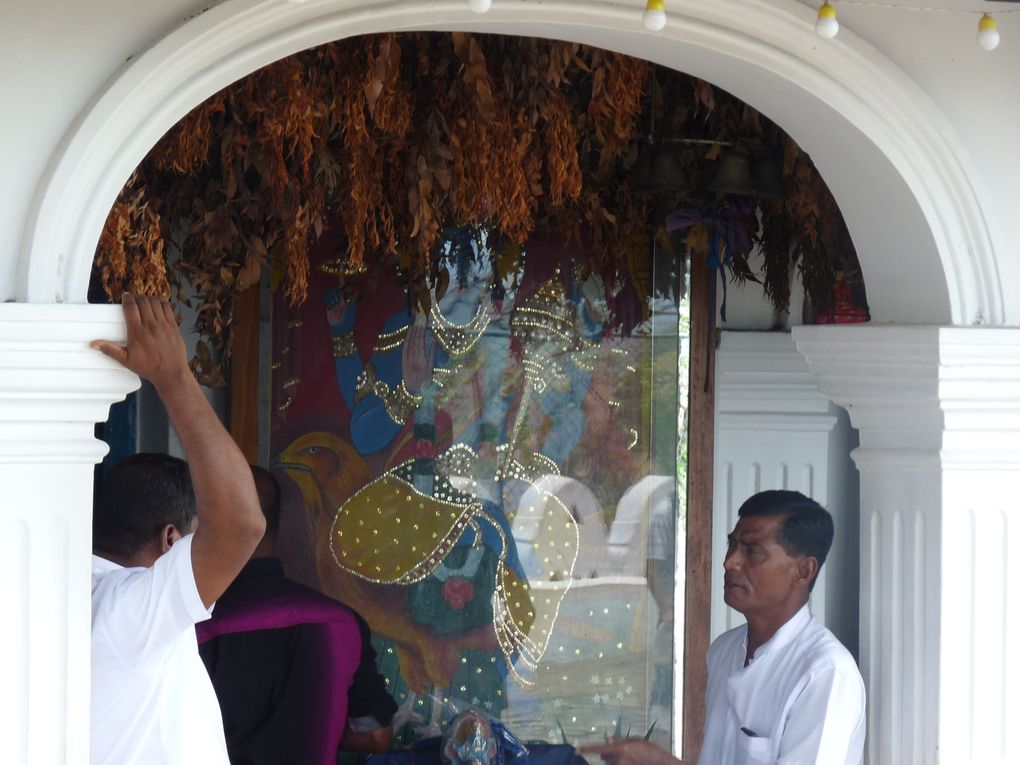 FABRIQUEZ VOTRE VOYAGE AU SRILANKA.
