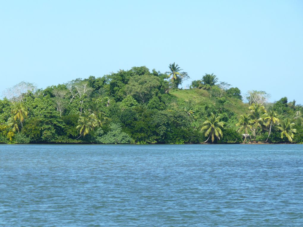 L'île de Sainte-Marie, ses baleines, ses histoires de Pirates, ses cocotiers...