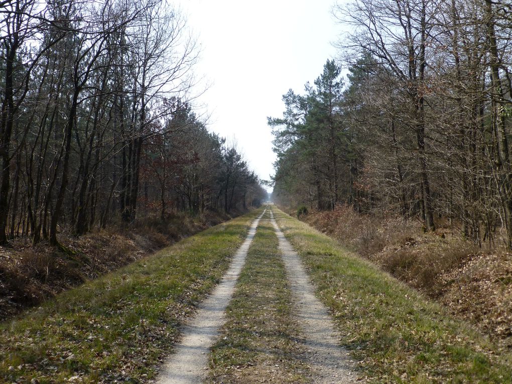 De la Beauce à Orléans, et un parapluie posée là sur le bord du chemin...