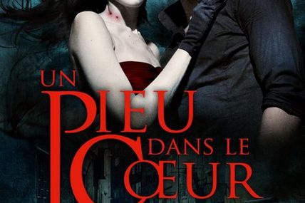 Void City T1 : un pieu dans le coeur de J.F. Lewis