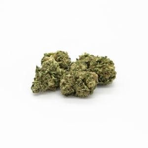 Tout connaître sur les différentes variétés de cannabis
