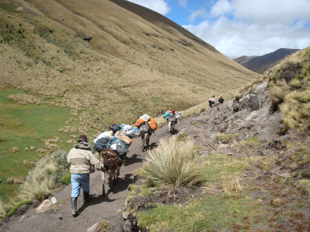 Album - Rando-sur-les-traces-des-Incas---el-camino-del-Inca