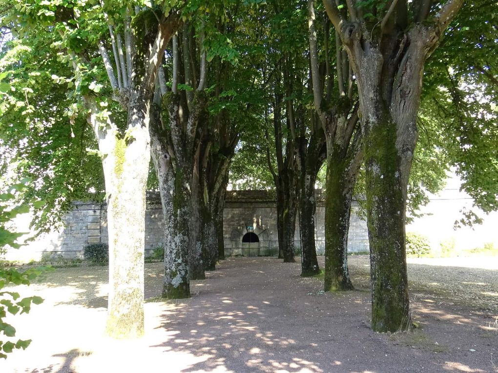 Qui es-tu Bernadette Soubirous ? De Lourdes à Nevers, moments intimes