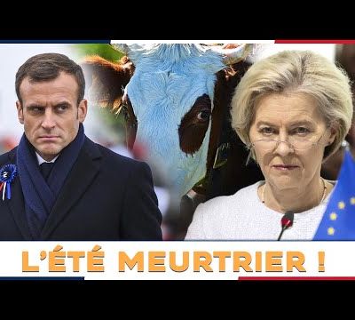 Coup de tonnerre : l’Europe va « tuer toutes les vaches françaises » ! & Hypnose Régressive - Abattages de bovins pour raison sanitaire - MAJ du 28/07/2025.