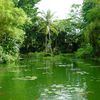 Le jardin botanique de Deshaies en Guadeloupe