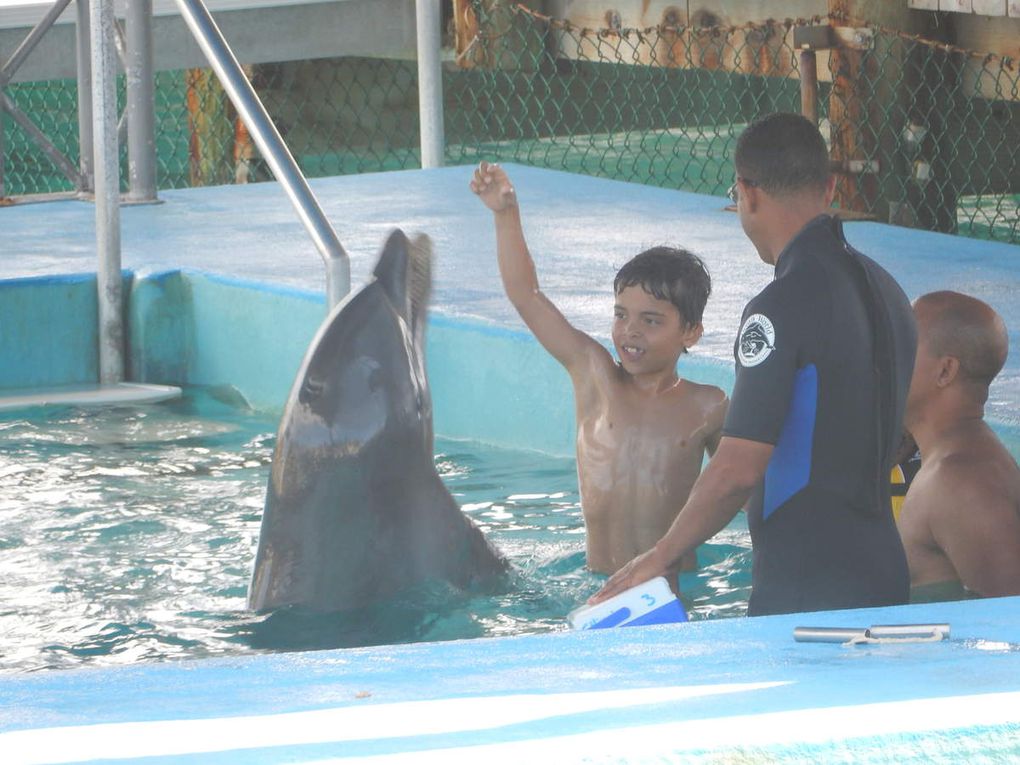 Ocean World, le parc à dauphins de Puerto Plata