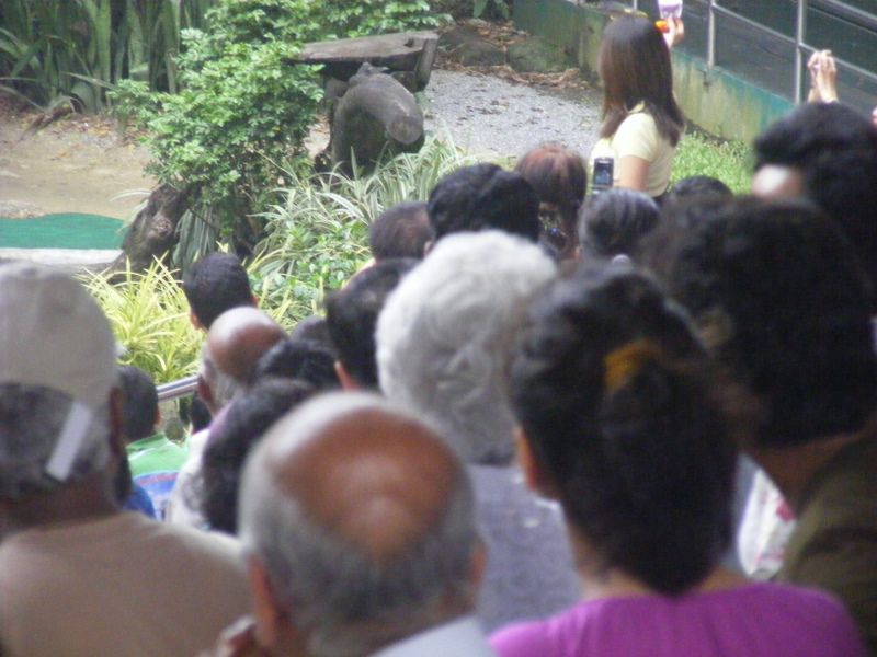 Une journée au Safari Word . Un Zoo, un Parc animalier et des Shows grandioses