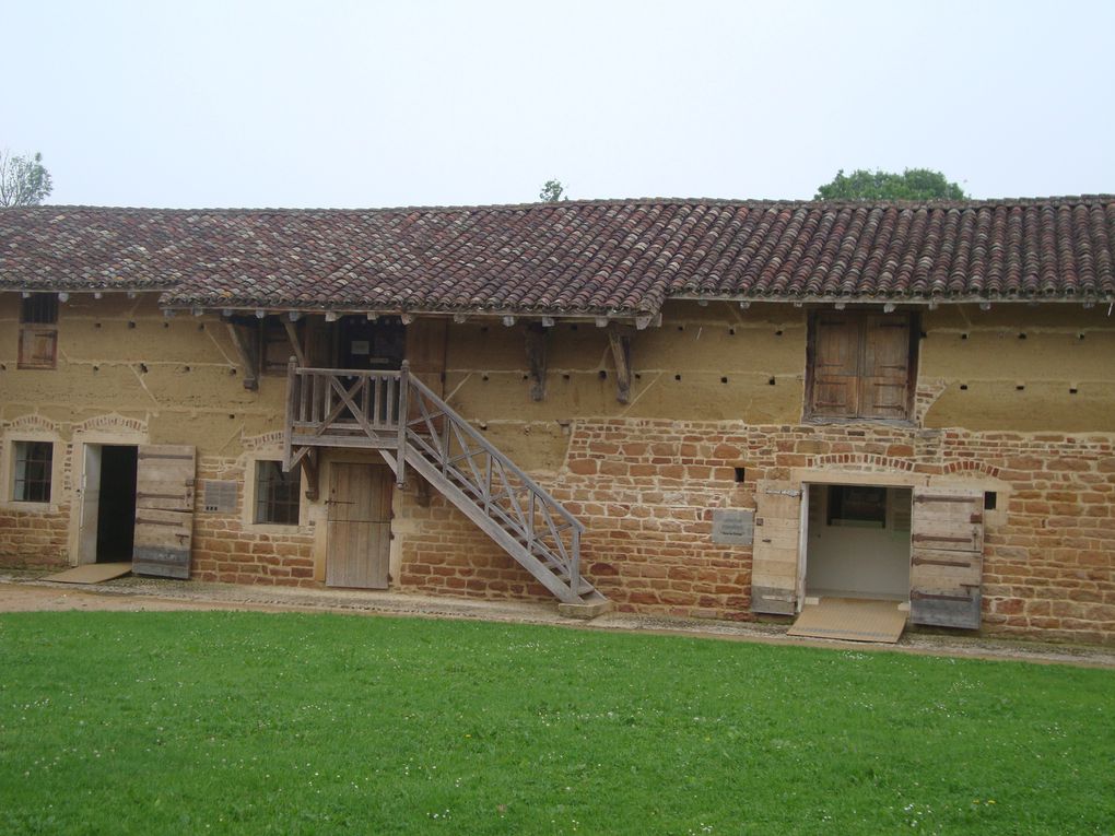 La petite Venise de la Dombe.
Le musée de la Bresse.