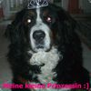 Prinzessin :]