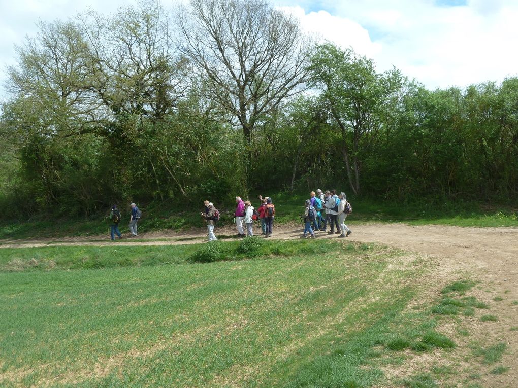 Randonnée en boucle de Saint-Martin d'Etampes - 19,7 km.