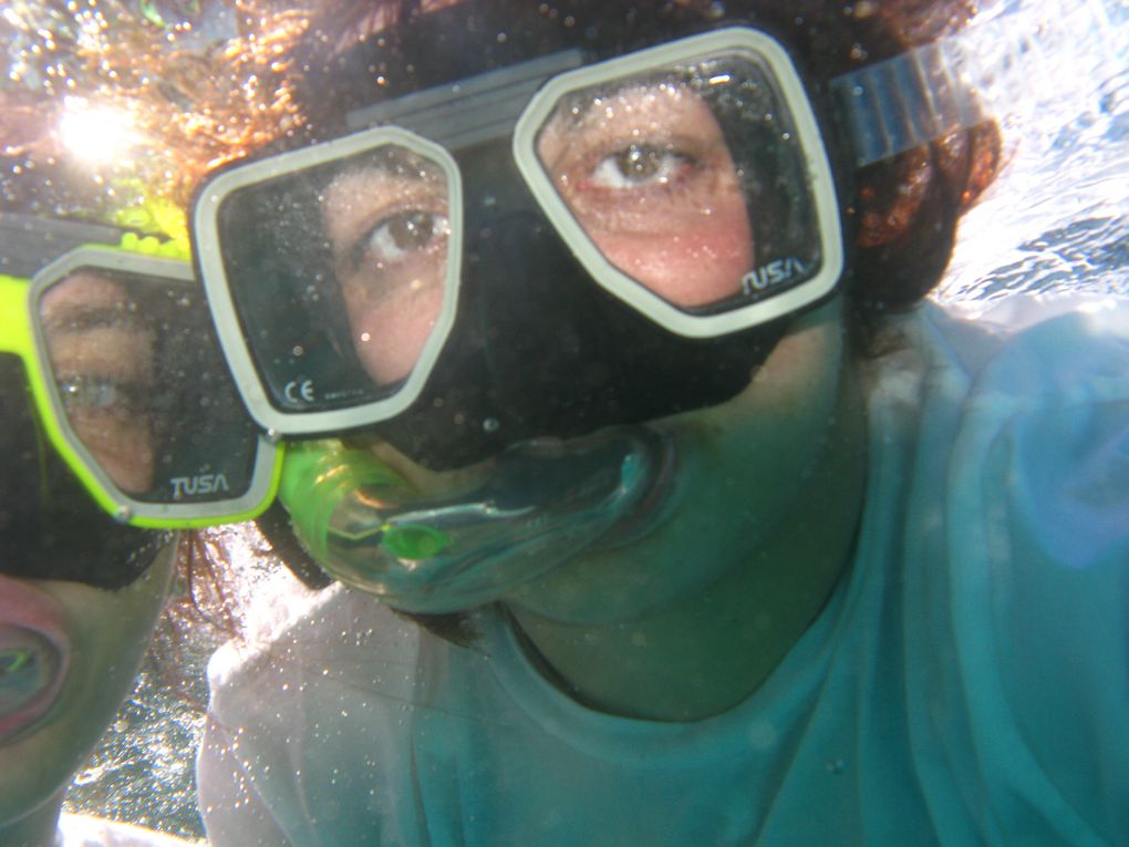 Album - Schnorcheln am Great Barrier Reef