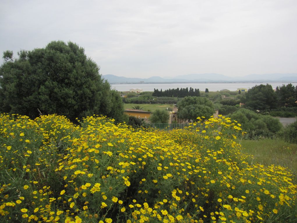 de Cagliari à Iglesias