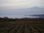 Samedi 29 novembre - Autour des Dentelles de Montmirail