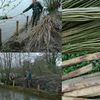 L'île Perdu(e): T3. La Restauration des berges - E.Ragueneau/ A.Verspieren