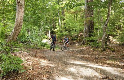 Rando VTT depuis St Gervais la Forêt