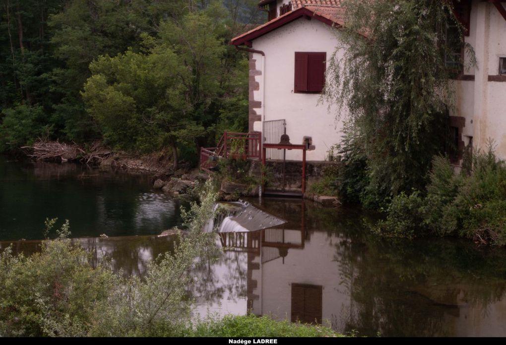 SAINT JEAN PIED DE PORT (suite)