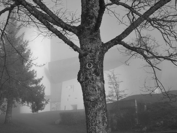 Notre-Dame du Haut - Ronchamp - brume en noir et blanc