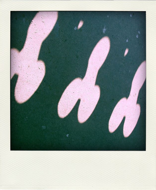 Album - LONDON-POLAROID