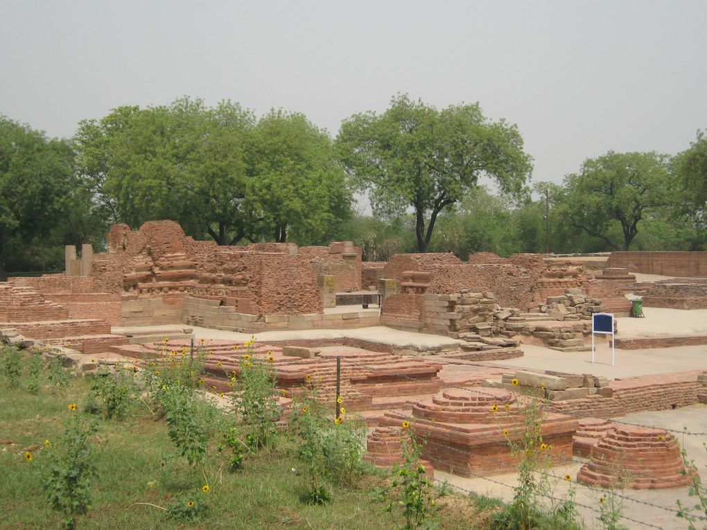 Album - VARANASI