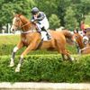 samedi 26 septembre 2015 - auteuil steeple chase 4400 mètres 16 chevaux