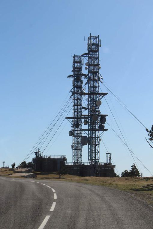 A notre arrivée nous découvrons d'abord ce pylône et ses antennes, puis un beau chardon...