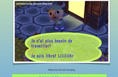 Newsletter Novembre 2024