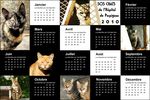 Calendrier 2010