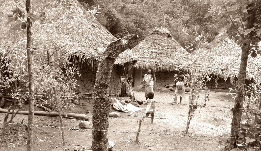 Album - 132--Trek-vers-la-Ciudad-Perdida