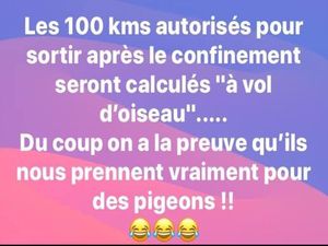 Reconfinement, parce qu'il vaut mieux en rire (38)