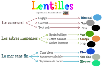 ♦️ Les lentilles de couleurs 