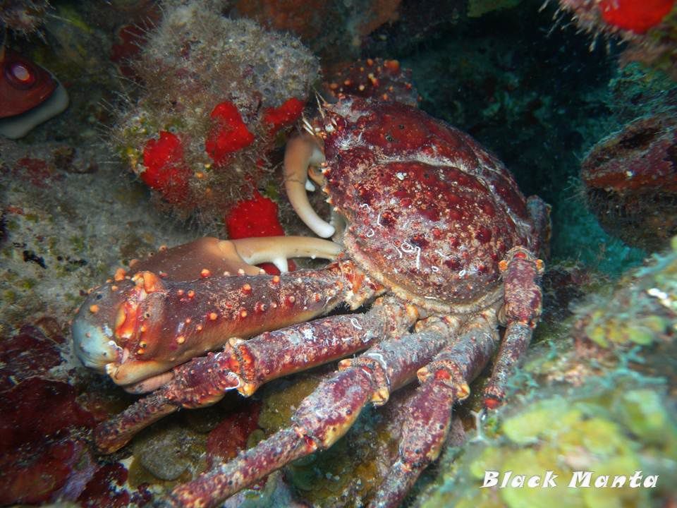 Album - Cozumel-02-2013