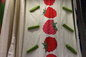 Les petites Framboises, motif tendance de l'été 2015