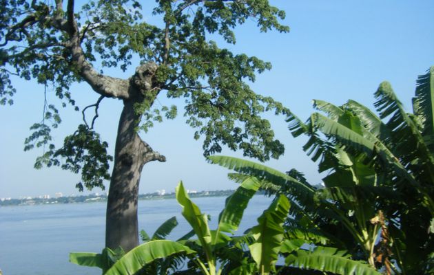 Brazzaville la Verte