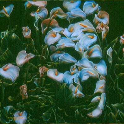 Illusion d'optique et perception en peinture -  Eric Montoya (1968)  fleurs et visage