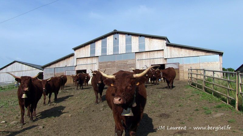 Visite du 20 juillet 2013