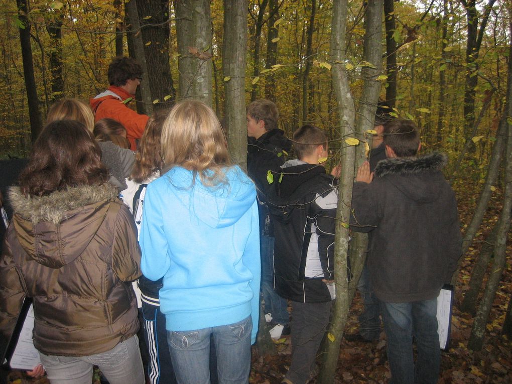 Album - Forêt-de-Lespinasse-7-novembre-2011