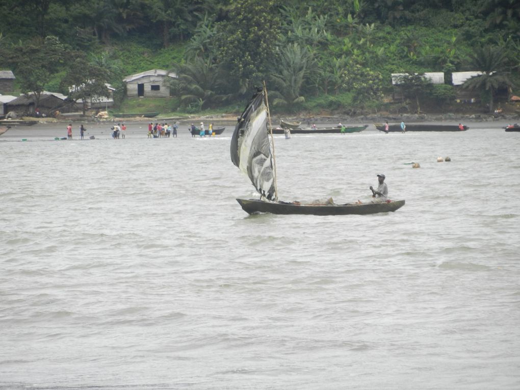 Limbé et ses plages, son parc botanique, son centre de la faune, son activité. Buea base pour le Mont Cameroun et le pont M'Fundi base pour le Nigeria