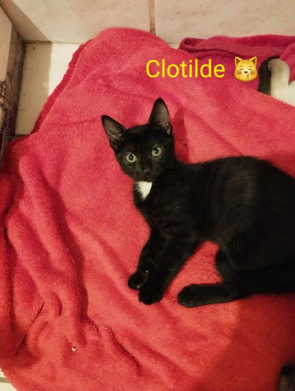 Clothilde,  Clovis et Chloé