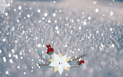 Je vous souhaite de passer un bel hiver !
