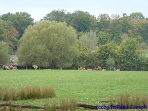 Parc animalier de Sainte-Croix, escapade en Moselle (Camping-car-club-Beauce-Gâtinais)