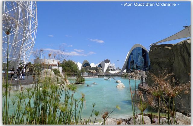 Un pique-nique à l'Oceanográfic [Valencia tourisme]