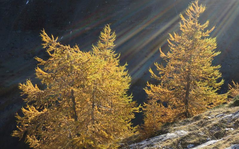 Symphonie en automne majeur