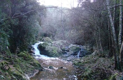 Au fil de l'eau...